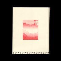 Image 4 of SKINNING (first edition)