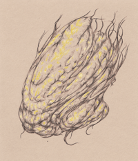 Original Drawing: Pod