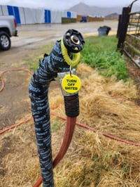 Image 2 of Water Shut-Off Reminder Wrist Band