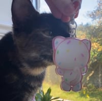 Image 3 of ☆彡Sprinkles Keychain!