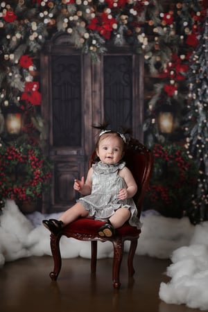 Image of Christmas Mini Sessions