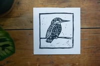 Image 5 of Kingfisher Lino Print