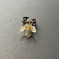 Bague « DARWIN »