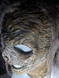 Image 5 of ZOMBIE SKIN