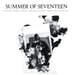 Image of Summer of Seventeen - S/T - LP