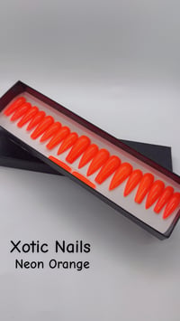 Image 1 of Highlight Orange 