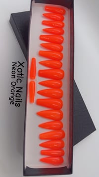 Image 2 of Highlight Orange 
