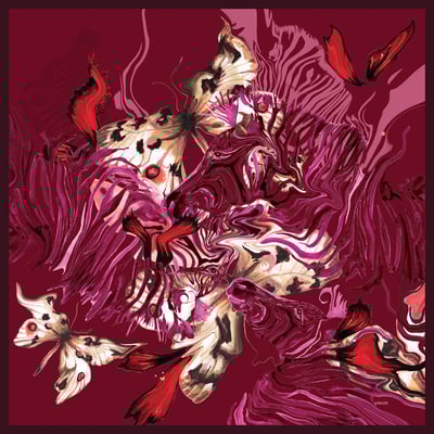 Image of PINK ZEBRA