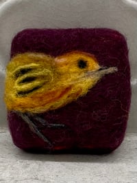 Image 1 of Yellow Warbler