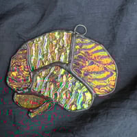 Image 4 of Dichroic orange/blue/multicolor glass brain
