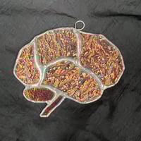 Image 1 of Dichroic orange/blue/multicolor glass brain