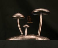 Image 1 of Number 24 Copper