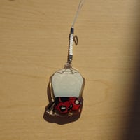 Image 2 of SPDP Web Charm