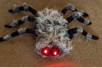 Image 1 of Dog Spider Costume