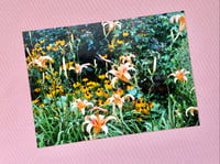 Image 2 of Floral Film Prints