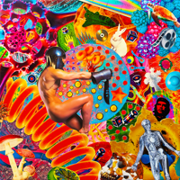 Lysergic Voyage Art Pring