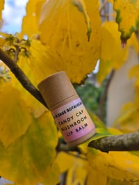 Candy Cap 🍄‍🟫 Lip Balm!