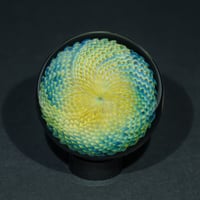 Image 1 of Mirage Bloom