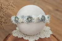 Newborn/Sitter Halo 89