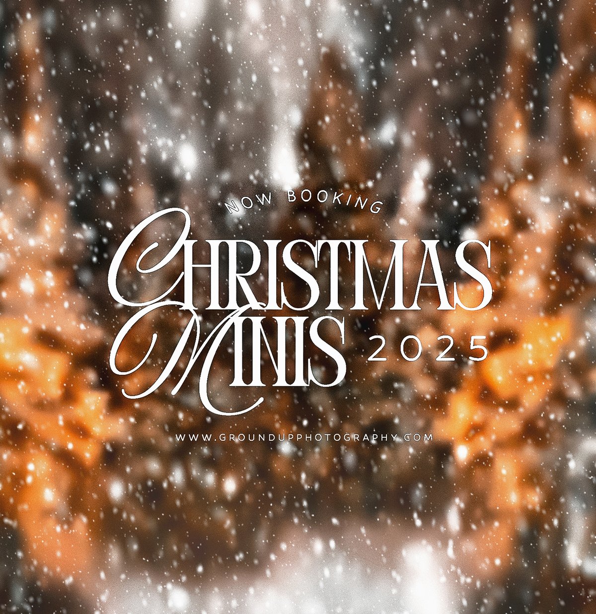 Image of SATURDAY NOV 8TH XMAS MINI SESSIONS