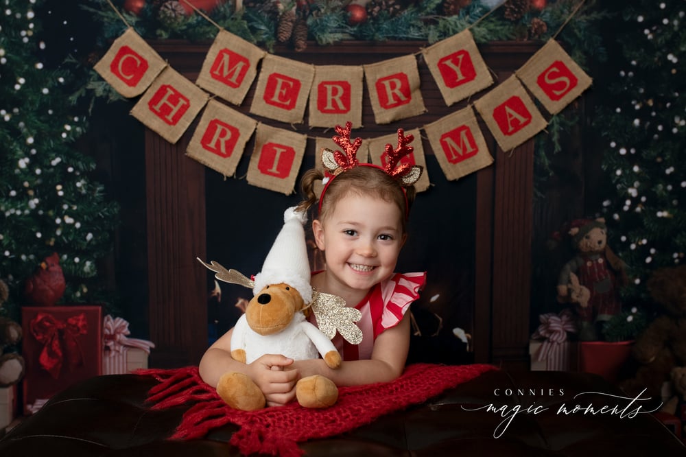 Image of Christmas Mini Sessions 2025