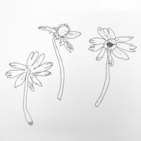 Image of PLANTETEGNING, (d.28. marts, KBH), nybegynderhold.