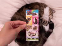 Image 1 of jinji luver pt1 holo glitter kira kira sticker sheet