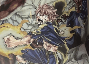 Image of Natsu SIGNED HIRO MASHIMA Japan Exhibition ART PIECE