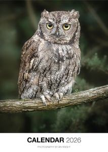 Image of 2026 Photography Calendar