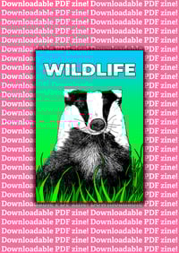 Image 1 of PDF Wildlife Zine