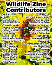 Image 4 of PDF Wildlife Zine