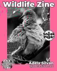 Image 7 of PDF Wildlife Zine