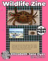 Image 5 of PDF Wildlife Zine