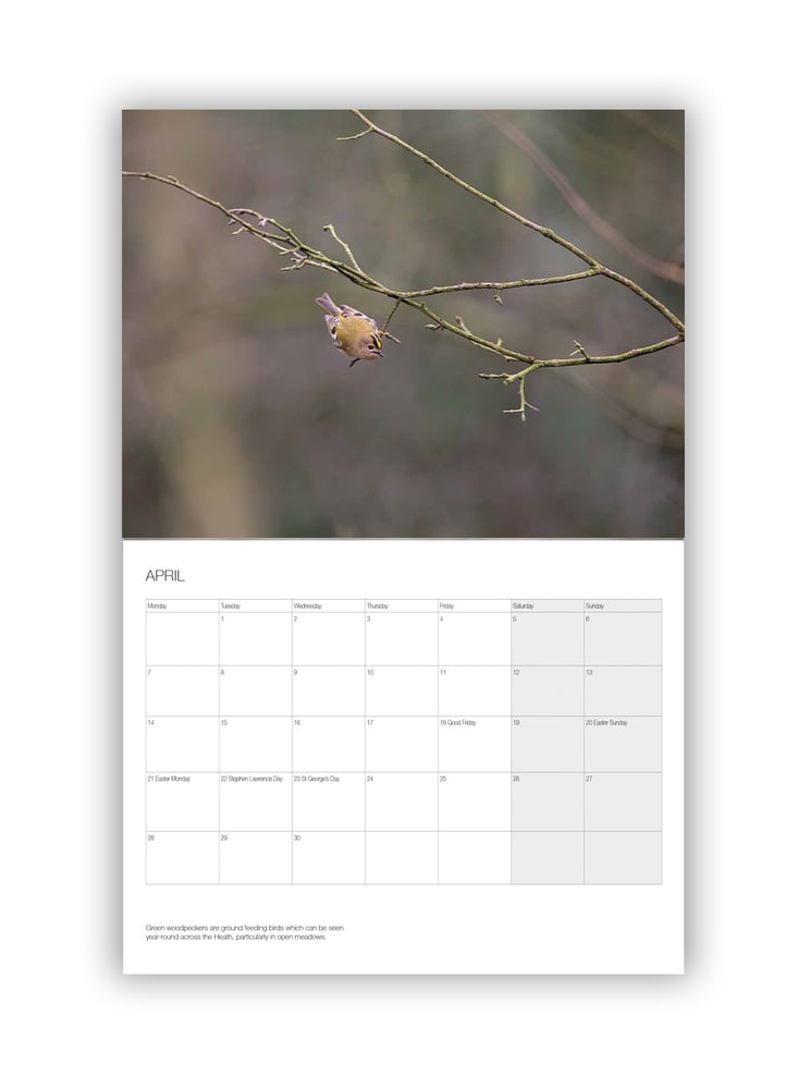 Image of 2026 Hampstead Heath Calendar