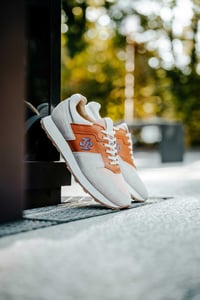 SONRA proto (MOJAVE)