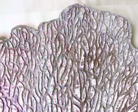 Image 10 of Large Coral Shaped Paper Mache Platter | Eco Coastal Decor