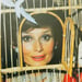 Image of (Fetes Memorables Bals Costumes 1922-1972)