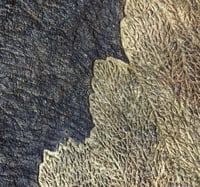 Image 3 of Large Paper Mache Wall Plate with Golden Leaf | Handmade Rustic Wall Art