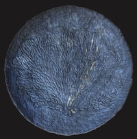 Image 7 of Large Paper Mache Wall Plate with Coral Texture | Handmade Ocean-Inspired Wall Art