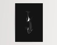 Image 4 of Orca Illustration Print