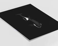 Image 5 of Orca Illustration Print