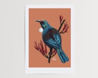 Image 2 of Trio of New Zealand Bird Prints