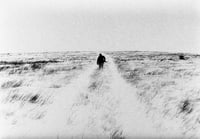 Image 3 of Aux Ombres - Simon Vansteenwinckel 