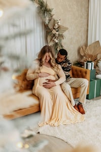 Image 4 of November 2 | Indoor Holiday Minis ($75 deposit only)