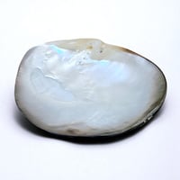 Image 3 of Grand vide-poche huître perlière en nacre polie vintage - 1970s