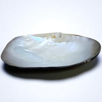 Image 4 of Grand vide-poche huître perlière en nacre polie vintage - 1970s