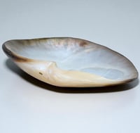 Image 6 of Grand vide-poche huître perlière en nacre polie vintage - 1970s