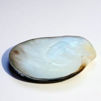 Image 1 of Grand vide-poche huître perlière en nacre polie vintage - 1970s