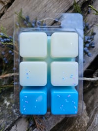 Image 3 of Wintering