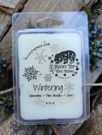 Image 8 of Wintering